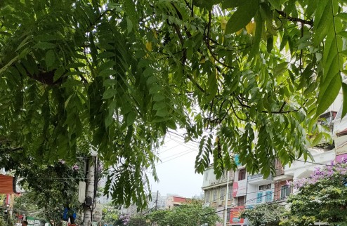 Lê Thanh Nghị tập thể Bách Khoa 25m/60m, tầng 5, 2.4 tỷ bán gấp giá rẻ căn hộ đẹp, khép kín Hai Bà Trưng.
16/6/2024 cần bán gấp hạ 200 triệu, giá
